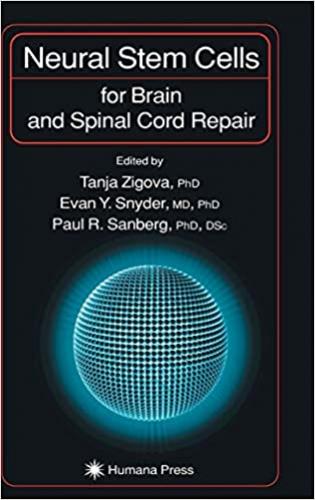 Neural Stem Cells for Brain and Spinal Cord Repair