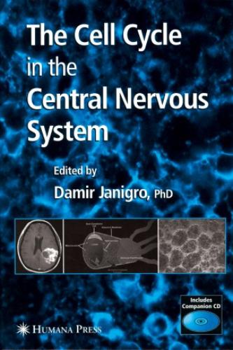 The Cell Cycle in the Central Nervous System