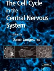 The Cell Cycle in the Central Nervous System